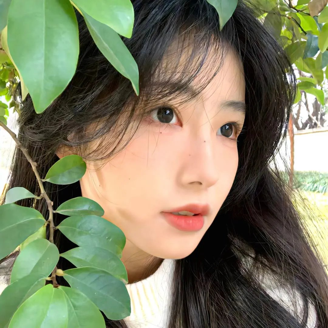 神枪护花手